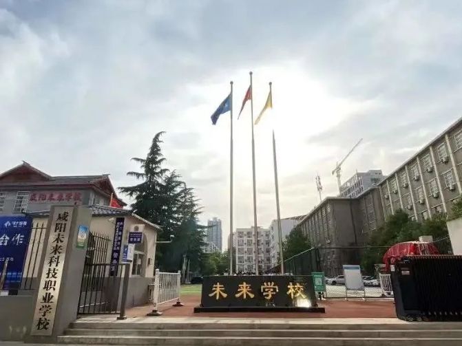 实训实习