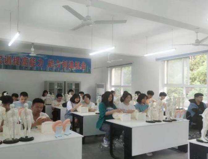 实训实习